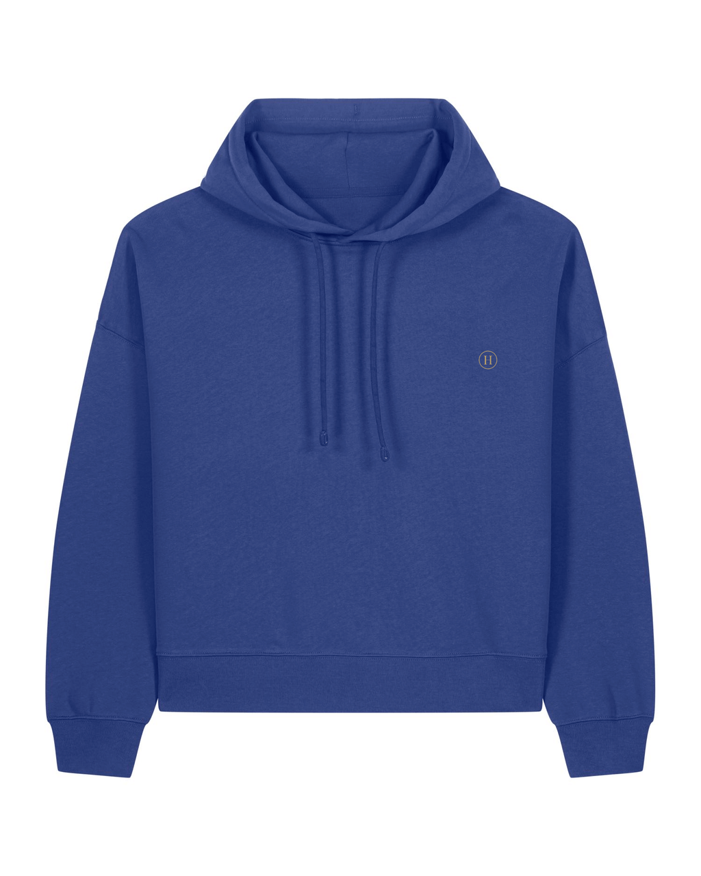 Blue hoodie with a small logo on the chest against a white background