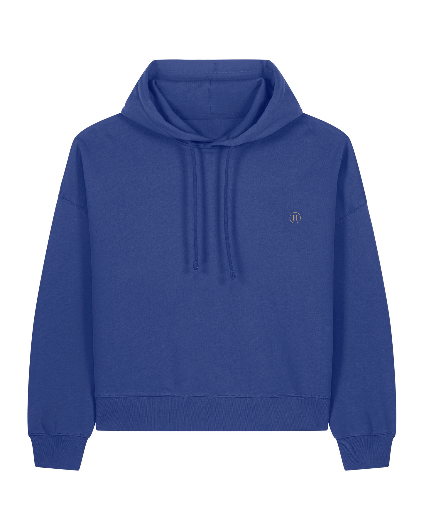 Blue hoodie with a small logo on the chest against a white background