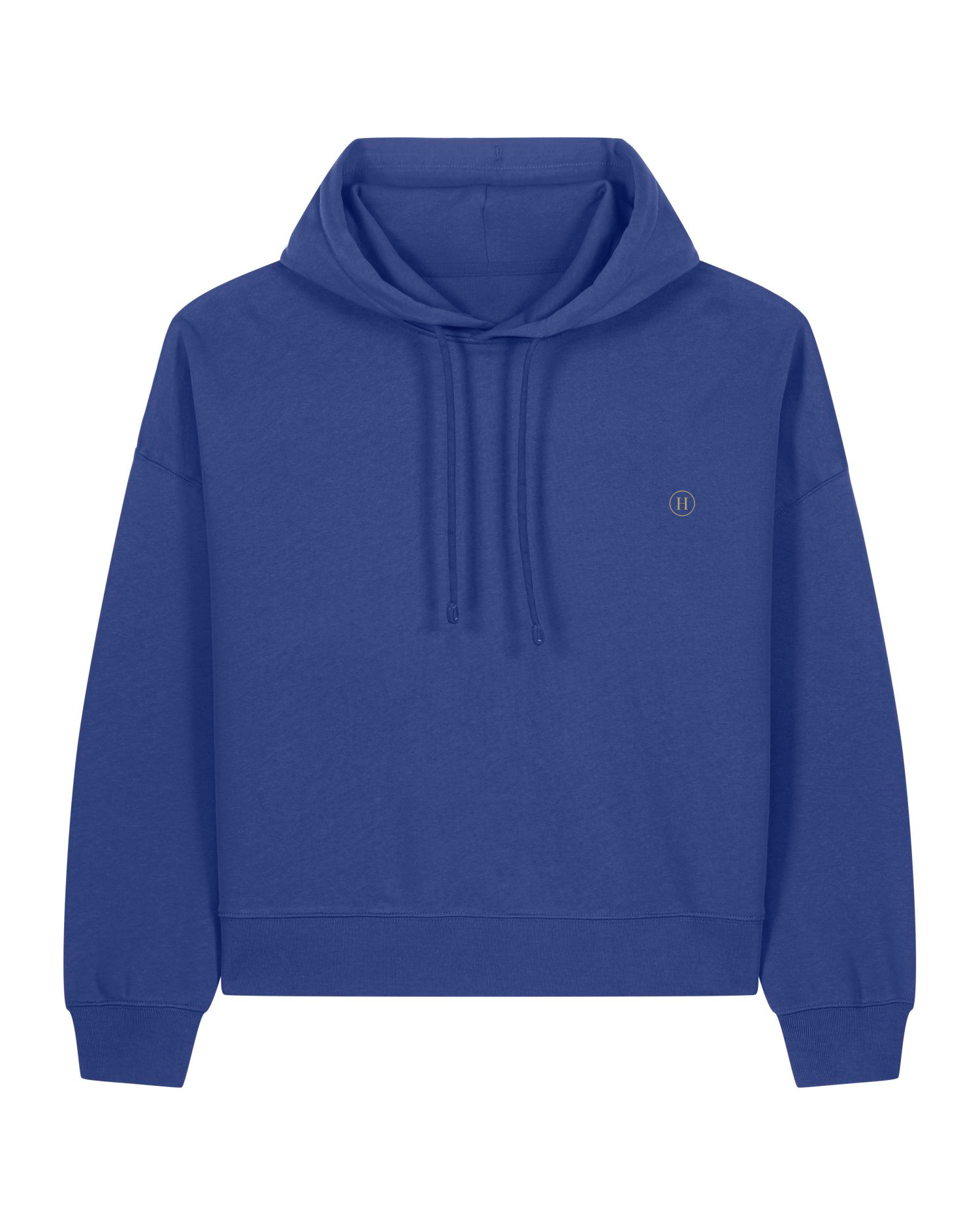 Blue hoodie with a small logo on the chest against a white background