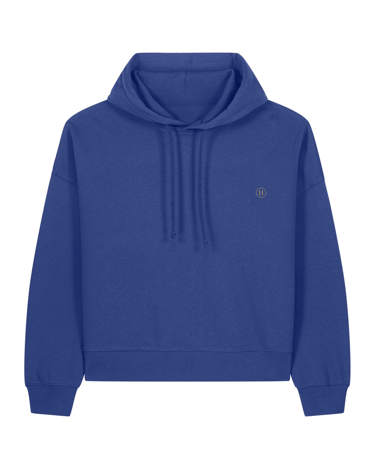 Blue hoodie with a small logo on the chest against a white background